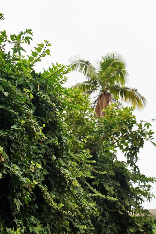 شقة Pimenta Funchal Downtown المظهر الخارجي الصورة