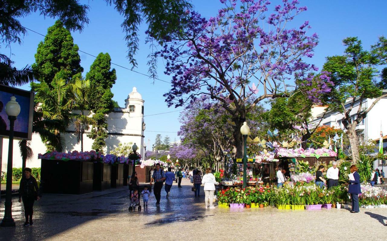 شقة Pimenta Funchal Downtown المظهر الخارجي الصورة